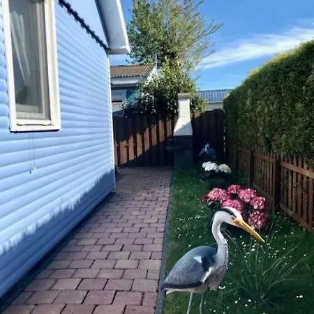 De Blauwe Reiger Vislust Ijsselmeer * Wervershoof