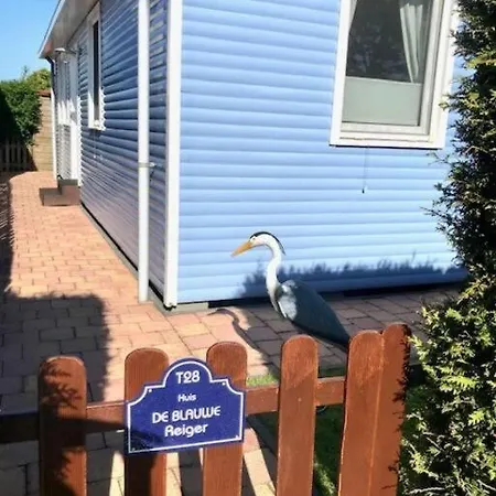 De Blauwe Reiger Vislust Ijsselmeer Holiday home